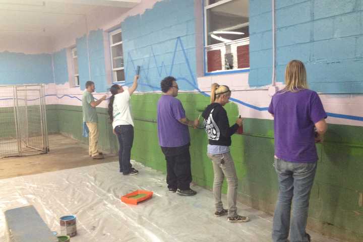 Canine Kindergarten Employees Paint Pretty Projects For Pets