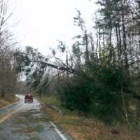 <p>The Lower Hudson Valley was filled with downed trees following Superstorm Sandy.</p>