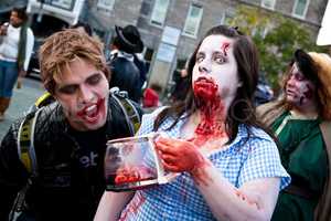Need To Survive Zombie Apocalypse? Yup, There's A Paramus Class For That