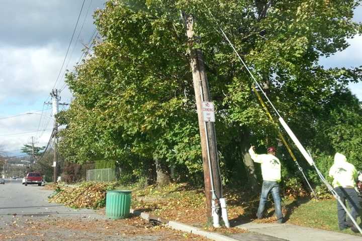 Con Edison and NYSEG said tree trimming is necessary whenever there is the potential that the tree poses a threat to interfere overhead systems.