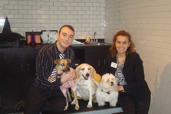 Owner Julie Zwisdak, groomer Larry Van Nostrand, Comet, Dempsey, and Maeby at Groom Spot in Tuckahoe.
