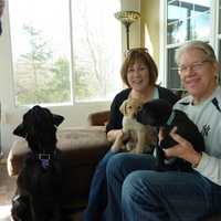 <p>Dale and Gail Bergman with Nina and her pups, Quentin and Quarter</p>