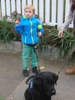 Echo, Service Dog For Autistic Boy, Returned Safely To Rye Family