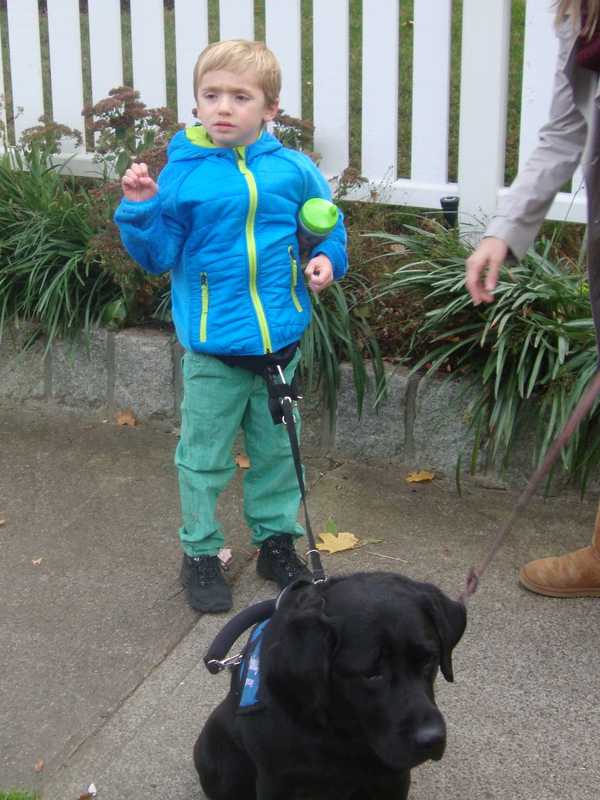 Echo, Service Dog For Autistic Boy, Returned Safely To Rye Family