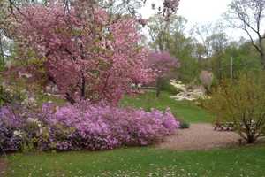 Greenburgh Council Will Vote On Butterfly Arbor For Nature Center