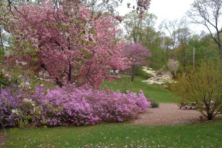 The Greenburgh Nature Center recently received a $20,000 grant from Con Edison to expand outdoor trail programming. 