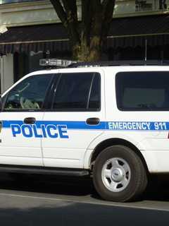 Two Escape Serious Injury After Car Hits Pole In Dobbs Ferry