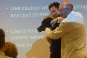 Guiding Eyes In Yorktown Teaches Pet Safety