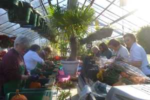 Westchester Residents Make Thanksgiving Centerpieces At Lasdon Park