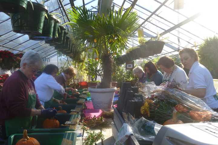 Westchester Residents Make Thanksgiving Centerpieces At Lasdon Park