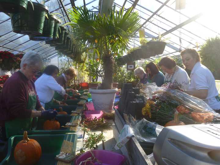 Women learn how to make Thanksgiving centerpieces at Lasdon Park in Somers. 