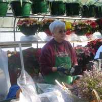 <p>Heritage Hills resident Ritamarie Caiati works on her Thanksgiving centerpiece. </p>