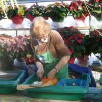 <p>Yorktown resident Nancy Noto loves making holiday decorations. </p>