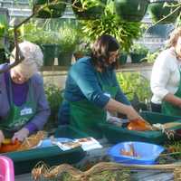 <p>Left to right, Nancy Hodden, Christine Roland and Mary Brunetti make Thanksgiving centerpieces. </p>