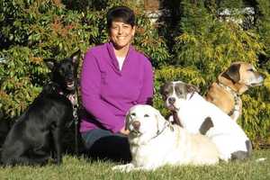 Stamford's Maria Lovello Shows Uncommon Love For Dogs