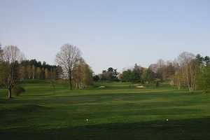 Bear Sighting Forces Temporary Closure Of Golf Course In White Plains