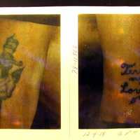 <p>Sjolander had these tattoos on his body, including one that read &quot;Terry my love.&quot; Darien Police are still trying to determine the identity of &quot;Terry.&quot;</p>