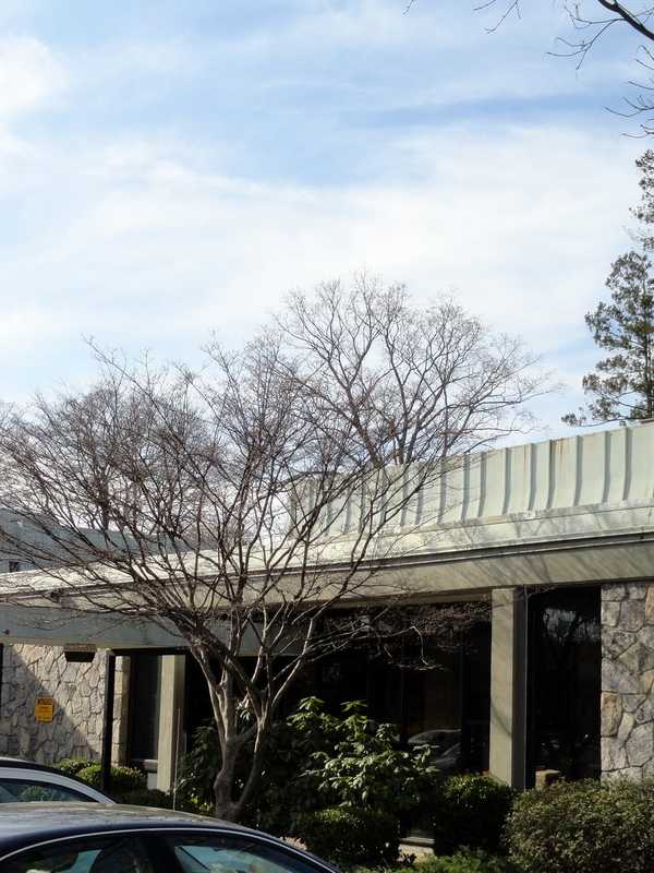 Mount Pleasant Library Receives More Than $32K For Renovations