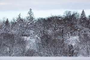 Snow, Sleet Could Hit New Canaan Thursday Morning