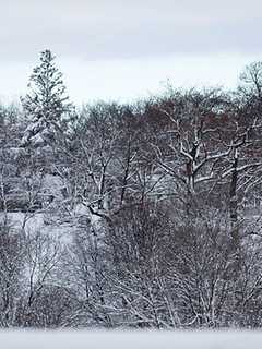 Snow, Rain And Sleet To Hit Fairfield Tuesday