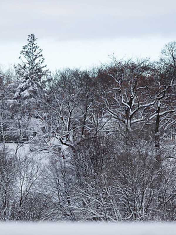 Snow, Rain And Sleet To Hit Fairfield Tuesday