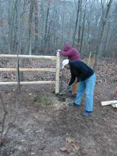 Off-Leash Dog Park Opens In Yorktown