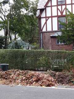 New Canaan, It's Time To Get Ready For Leaf Pickup
