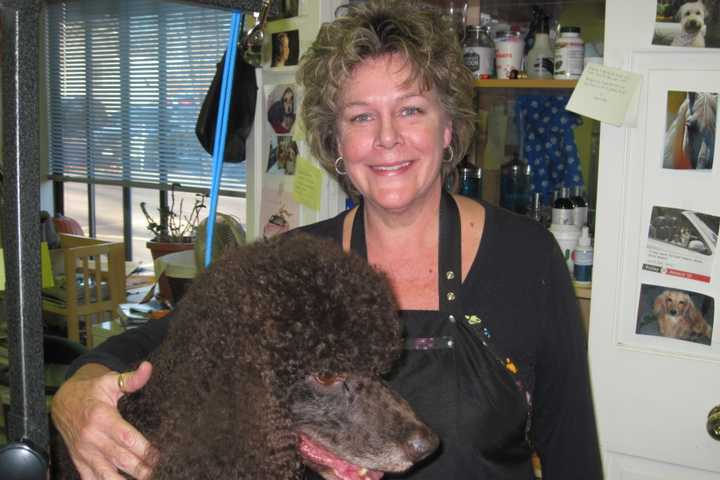 Pet Owners Across Fairfield County Head To Darien For Top Dog Looks