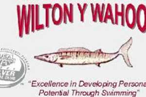 Wilton Wahoos Swimmers Shine In Darien Meet