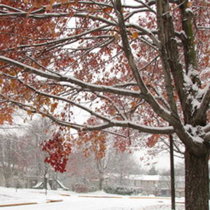 It&#x27;s unlikely there will be a lot of snow on the ground come Christmas Day in Fairfield County.