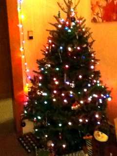 Norwalk Fire Department Provides Christmas Tree Safety Tips