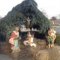 <p>The creche at St. Catherine of Siena in Greenwich puts the true meaning of Christmas on display. </p>