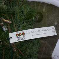 <p>The tag on a WAA wreath placed on a veterans grave at St. Pauls reads Today, I placed a Wreath on the Grave of an American Hero.</p>