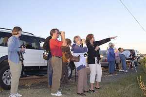 Bedford Audubon Kicking Off 2017 With Eagle Watch, Field Trips