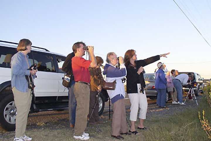 Bedford Audubon Kicking Off 2017 With Eagle Watch, Field Trips