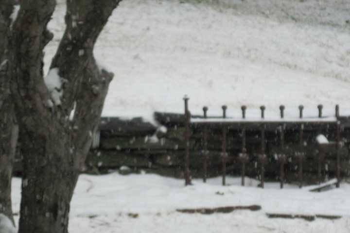 Greenwich Wakes Up To More Snow