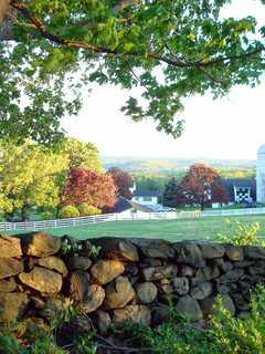 Family Farm Fest Returns To Yorktown's Hilltop Hanover Farm