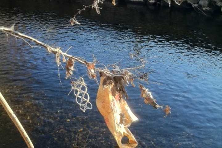 Pleasantville Group Seeks To Ban Plastic Bags