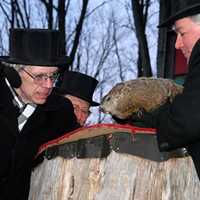 <p>Punxsutawney Phil saw his shadow predicting six more weeks of winter.</p>