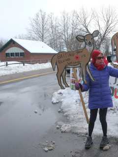 Vassar College Defends Deer Cull Day After Protests