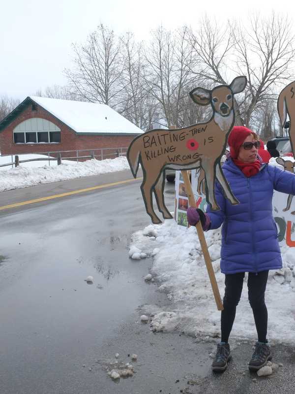 Vassar College Defends Deer Cull Day After Protests