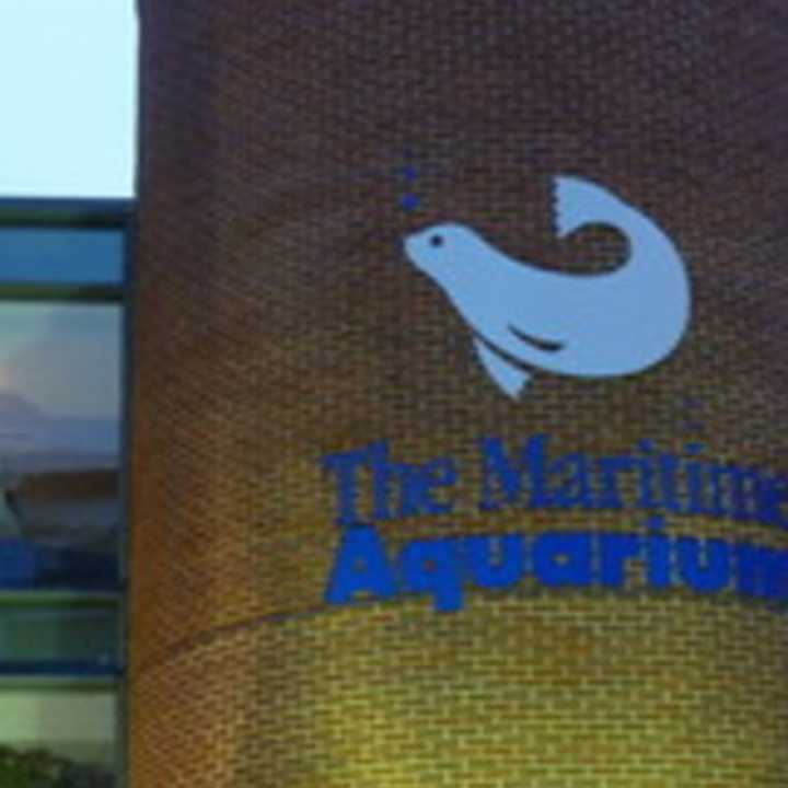 The Maritime Aquarium at Norwalk is offering special children&#x27;s programs during the school break. 