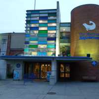 <p>The Maritime Aquarium&#x27;s lease with Norwalk is up for renewal Tuesday, and a labor union says it plans to challenge the aquarium on behalf of cleaners who worked there until last year. </p>