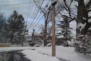 Con Ed, NYSEG Prepare For Storm-Related Power Outages