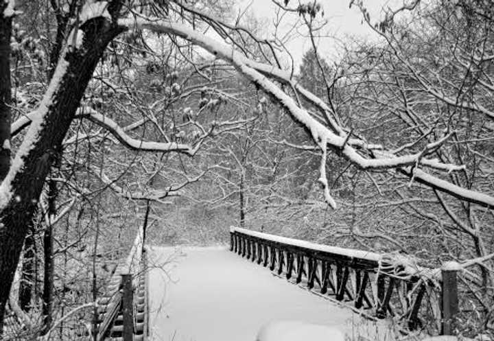 More snow is expected early Tuesday on the Fairfield County landscape. 