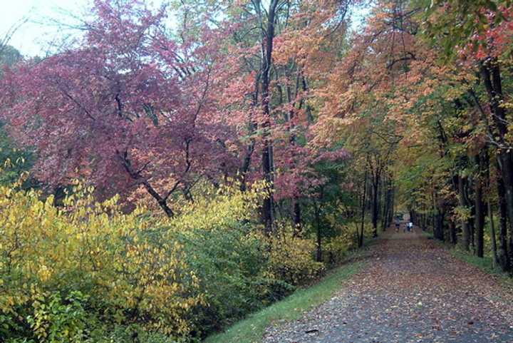 A Connecticut pedestrian trail is an example of the type envisioned for a 37-mile Merritt Parkway trail that would link one end of Fairfield County to the other.