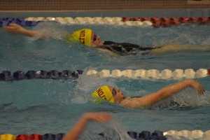 Wilton Wahoos Swimmers Glide To Top Results At Meets