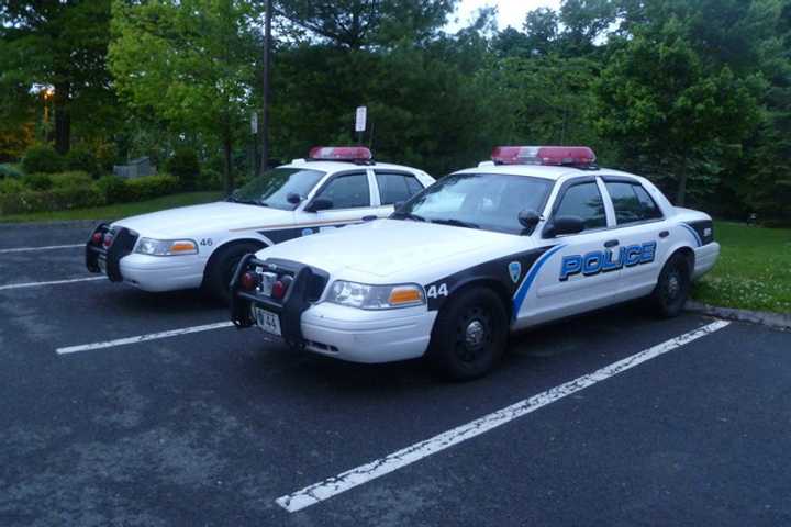 Rye Brook Police Join Coalition To End Gun Violence