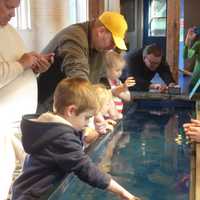 <p>The &quot;Jiggle A Jelly&quot; exhibit at the Maritime Aquarium draws a crowd Saturday.</p>