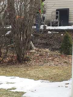 Oil Spill Reported in Yorktown